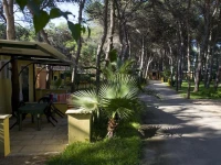 Camping La Vecchia Torre