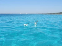 Mistral Exclusive B&B