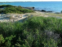 WS Apartement Gallipoli Parco