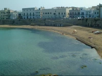 WS Apartment Gallipoli Centro storico lupo