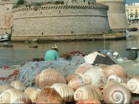 WS Appartment Gallipoli Centro Storico