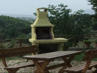 La Collina degli Ulivi