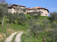 Casa Vacanze La Casala