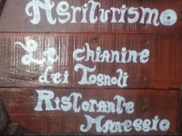 Le chianine dei Tognoli