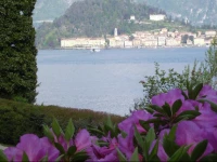 Charming Glicine and Azalea House Art and Colour with lakeview