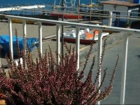 Apartment Casa Melina