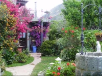 Casa Vacanze Il Pozzo