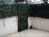 Appartamento Gallinara