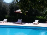 Il Sole e la Margherita