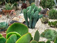 Villaggio Turistico La Valdana