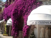 Central Studio Capri