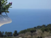 Villa Mimosa Maison Deluxe