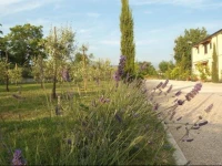 NENNA COUNTRY & RESORT