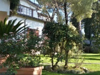 Il Platano Di Giulio