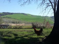 Agriturismo Molino Nuovo