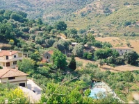 Agriturismo La Mimosa