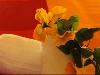 B&B Scirocco DAfrica