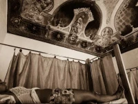 Ostello degli Elefanti