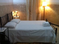 Myosotis Non ti Scordar di Me