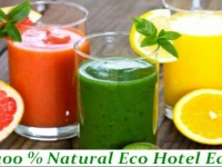 Eco-Hotel Edy