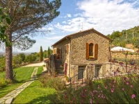 Antica Quercia Verde