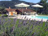 San Martino agli Ulivi