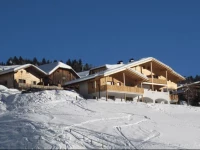 Chalet La Flu Apartments