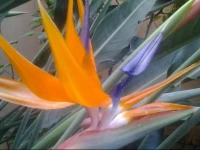 Bed and Breakfast Il Sole