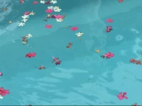 Mediterranea Luxury House