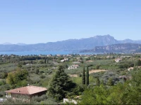 Agriturismo il Grappolo