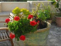 B&B La Casa Gialla di Mariella