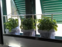 Casa Vacanze Armanda