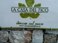 La Casa del Fico