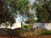 Gli Allori - Fuga dalla cittГ 