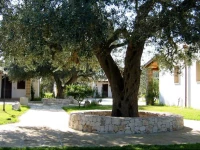 Gli Ulivi Residence
