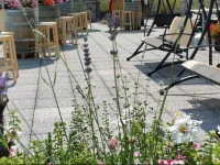 Casa Albergo Sorriso - Only Adults