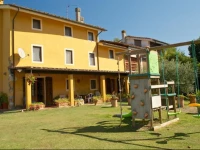Agriturismo La Conte