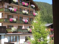 Alpen Hotel Vidi