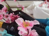 Appartamento Canottieri