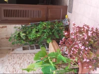 Casa Vacanza Salinisti