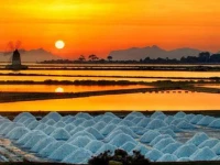 Case Vacanze degli Ulivi