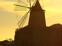 Monolocale Il Fenicottero