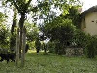 La Fratta Art - House