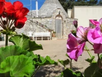 I Trulli Di Zia Rosa