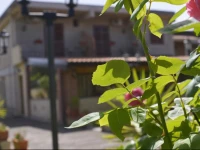 B&B Villa Sole dellEtna