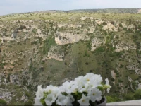 Apartment Biancospino