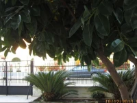 Holiday Home Via Del Mare