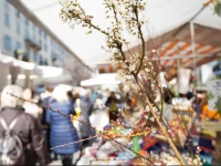 Residence Mignoncase Tre