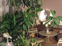 Bed+Art Milano Centrale