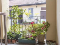 Homy Apartments Altaguardia